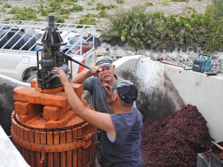 Our Restaurant making homemade wine