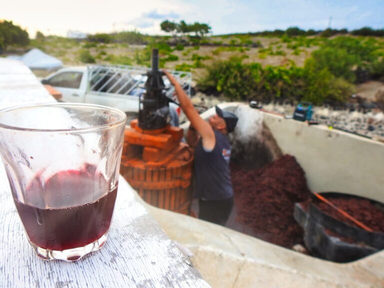 Our Restaurant the red sweet wine